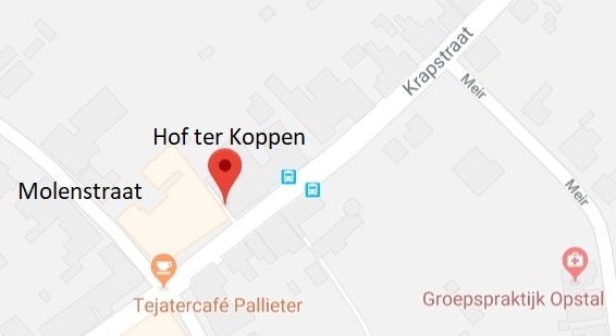 straatnaam Buggenhout-Opstal: Hof ter Koppen