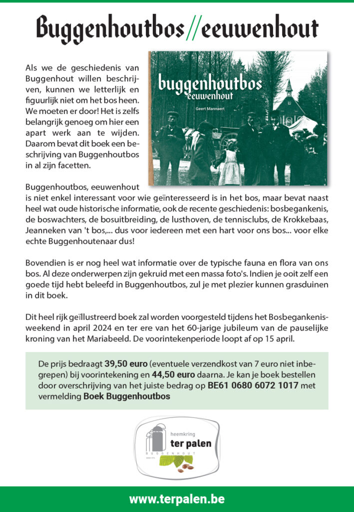 Buggenhoutbos // eeuwenhout